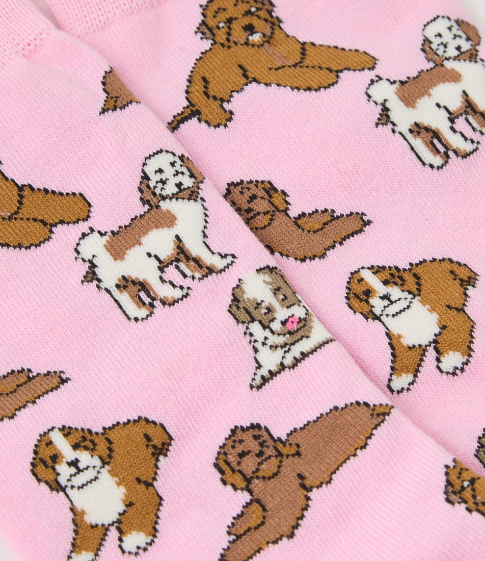 Small Dogs Multi Cotton Socks