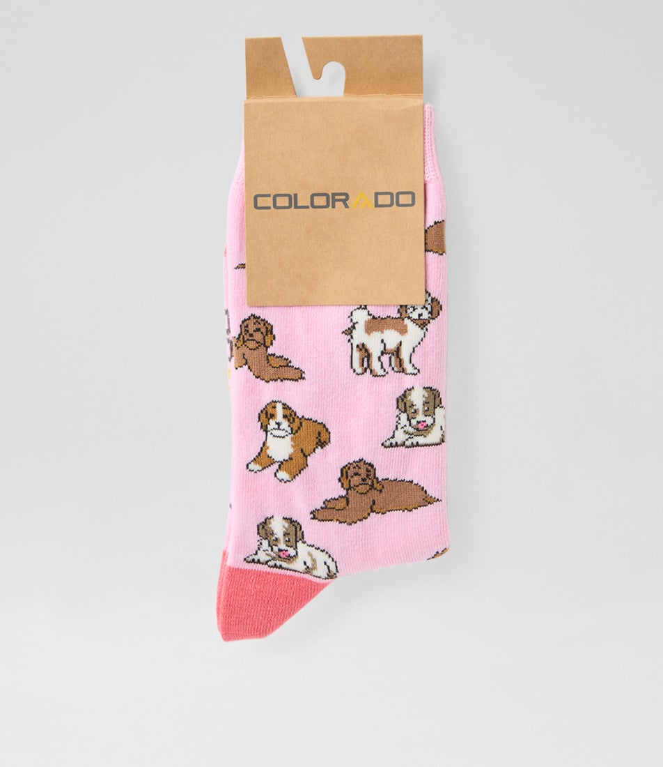 Small Dogs Multi Cotton Socks