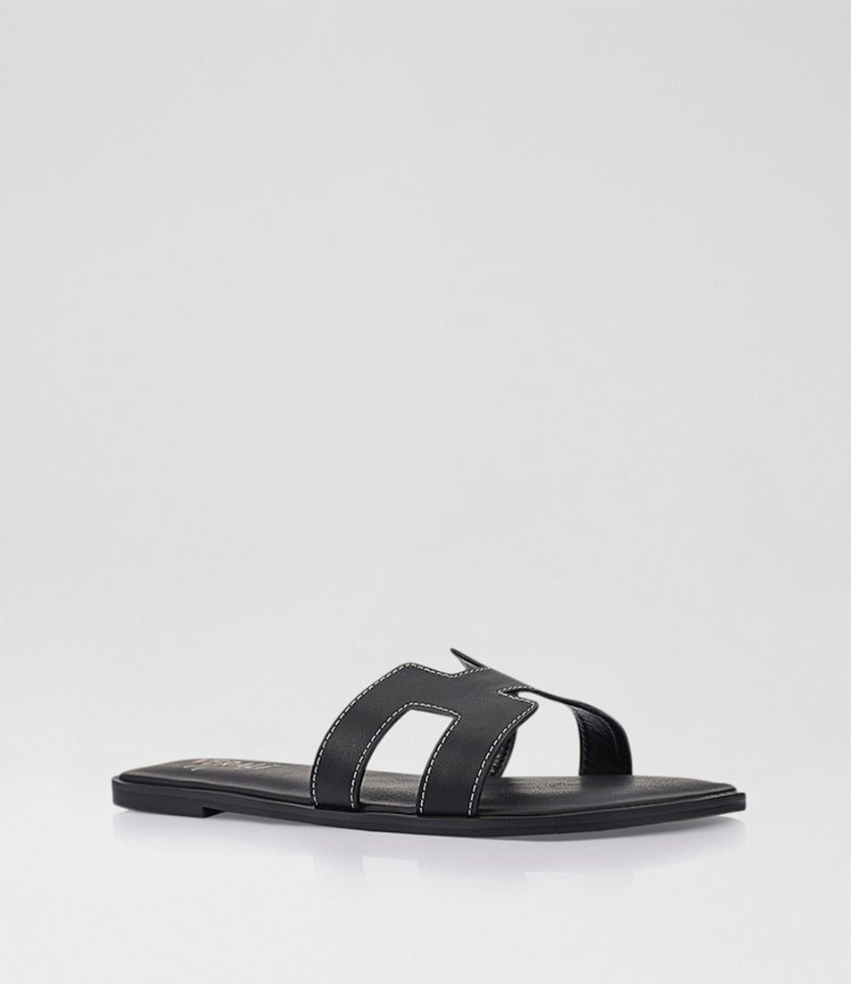 Sandra Black Slides